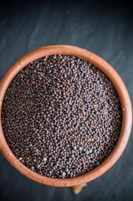 Mustard seeds -